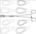 General Surgical Forceps