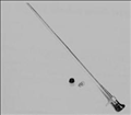 Endoscopic Telescopes