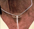 Transtracheal Catheters