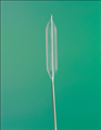 Biliary Baloon Dilators