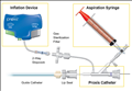 Embolic Protection System