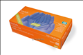 Premium Nitrile Examination Gloves